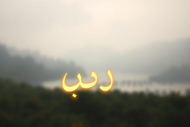 علم النفس الإيجابي: تطور أم تجاهل للمشاكل الحقيقية؟